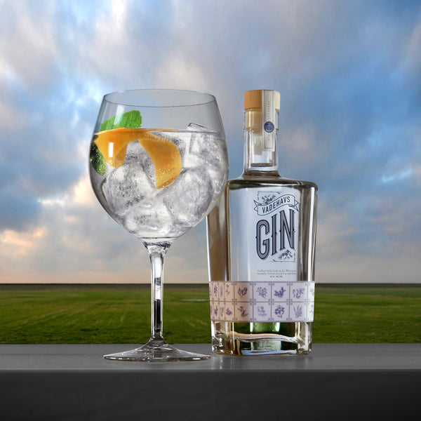 Gin Tonic