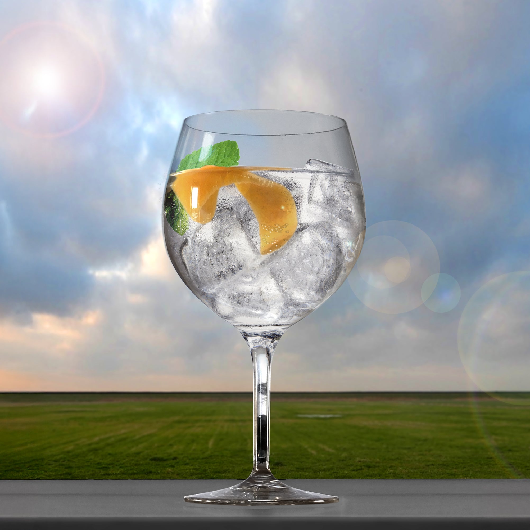 Gin tonic pakken